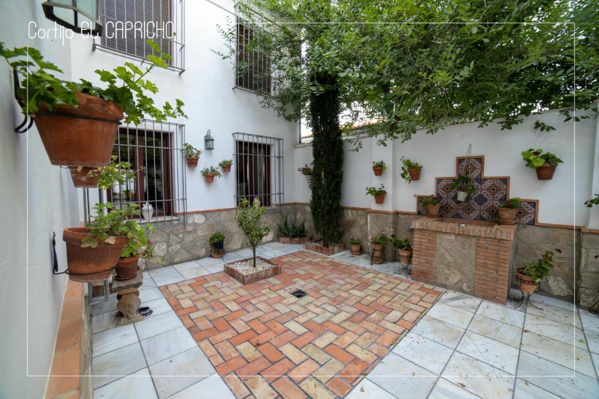 AlmedinillaCortijo El Segador Y El Capricho别墅 外观 照片
