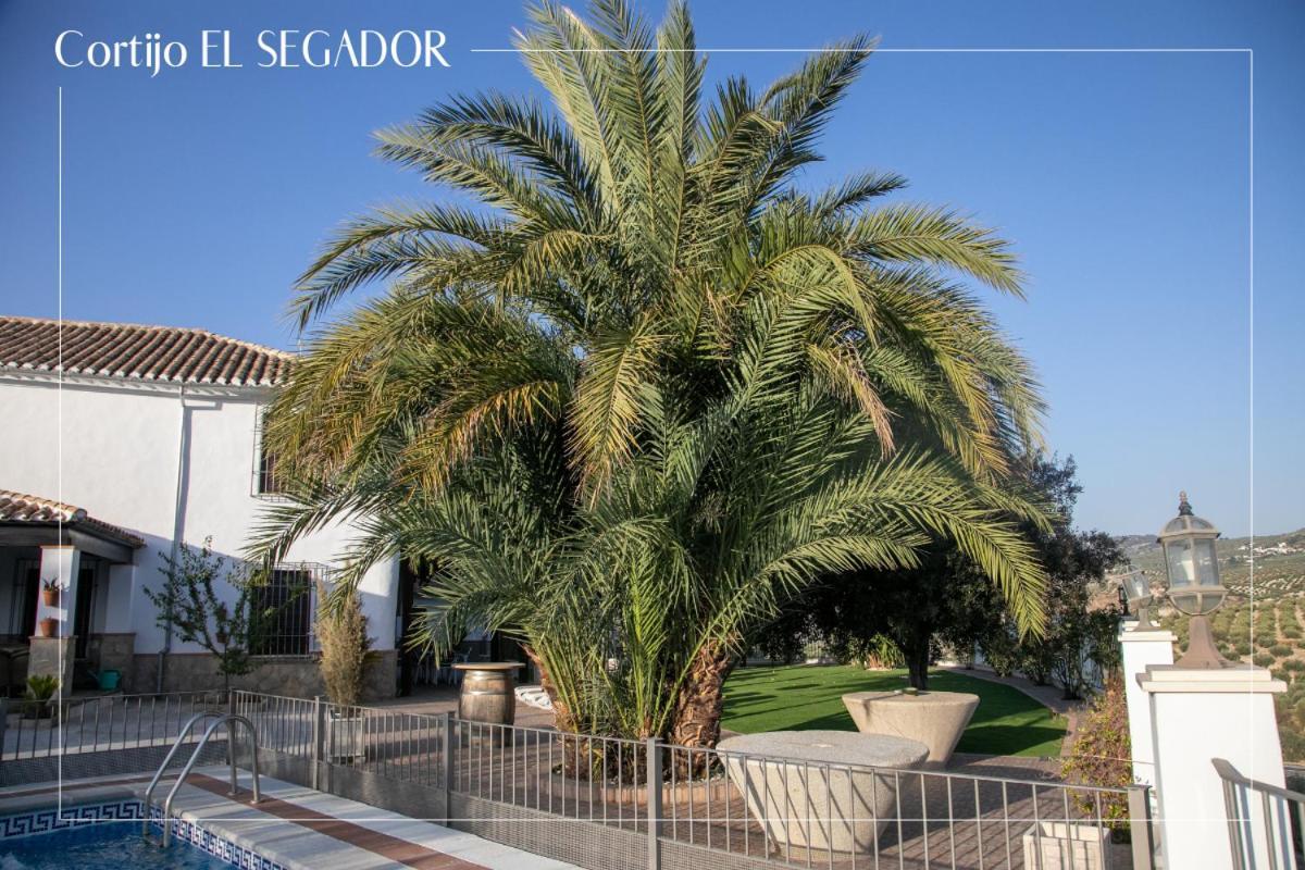 AlmedinillaCortijo El Segador Y El Capricho别墅 外观 照片